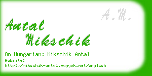 antal mikschik business card